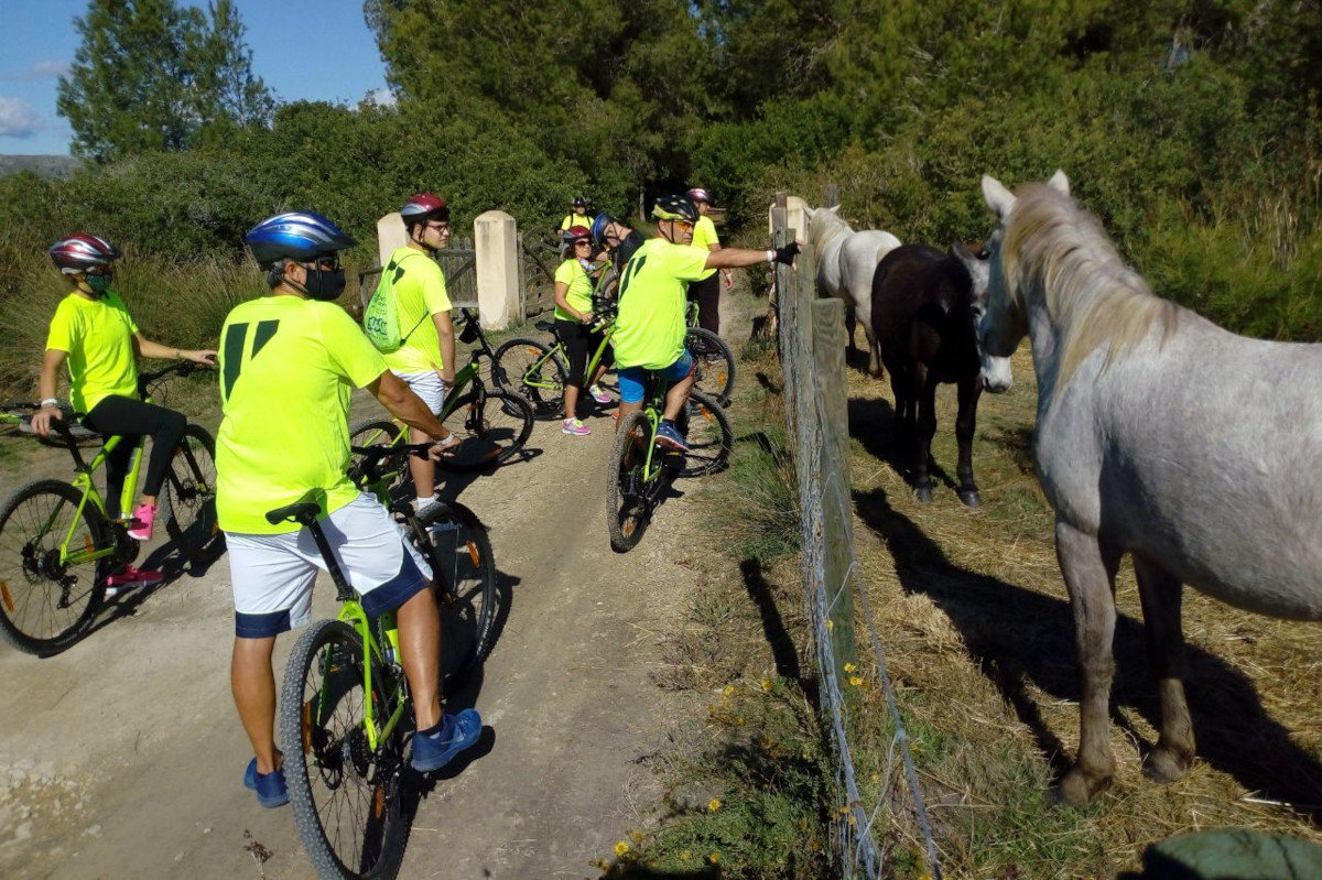 Bicicleta de montaña (BTT)