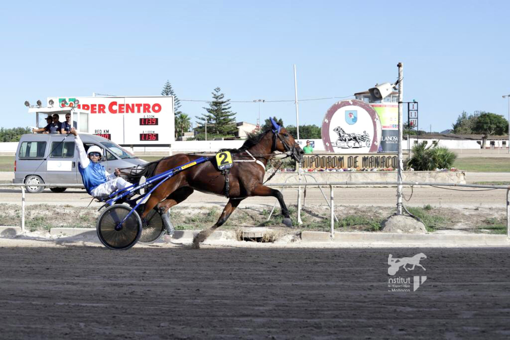 Gran Premi de Manacor de trot.