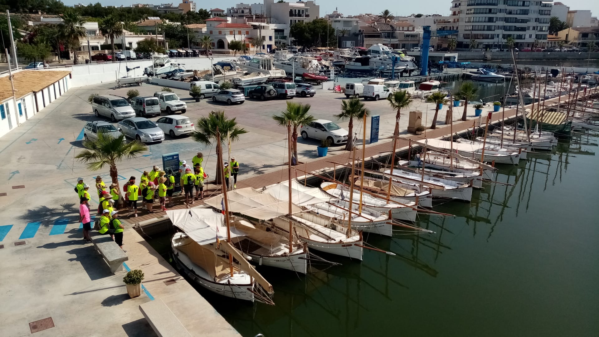 Actividad del programa 'Mou-te amb salut!' en cala Gamba.