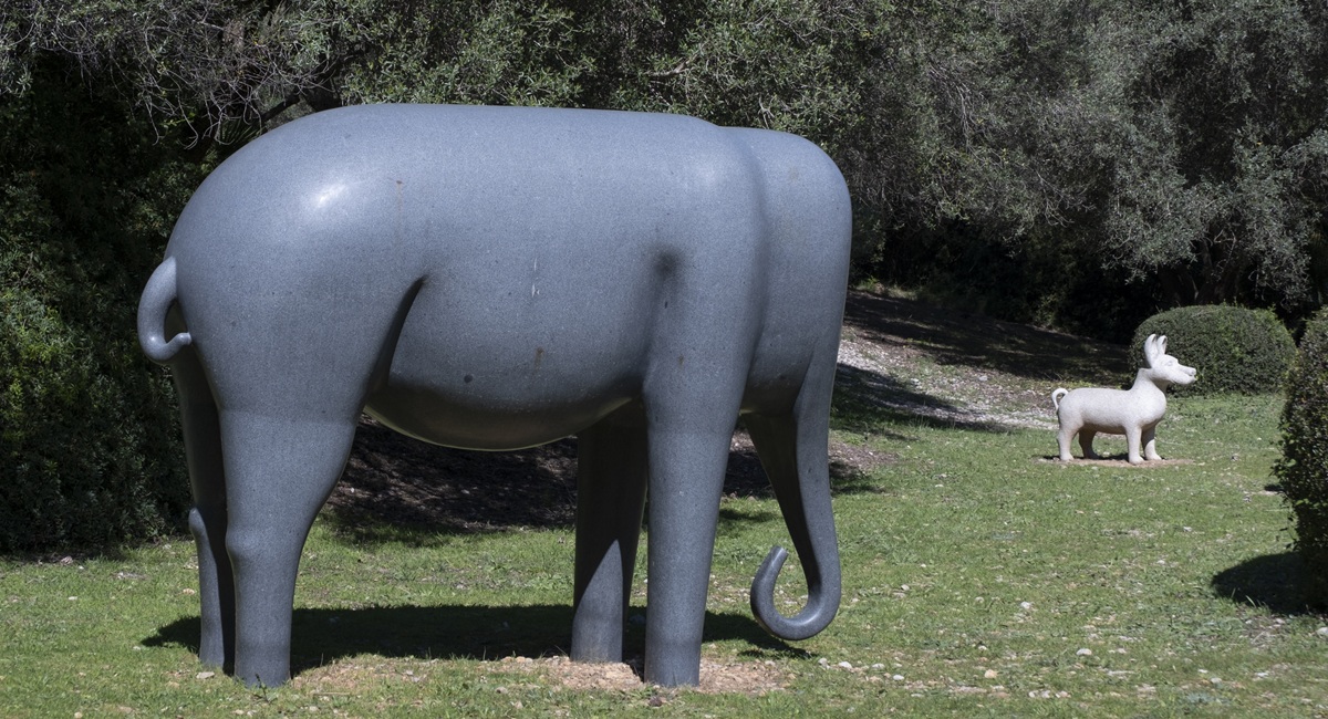 Museu Sa Bassa Blanca