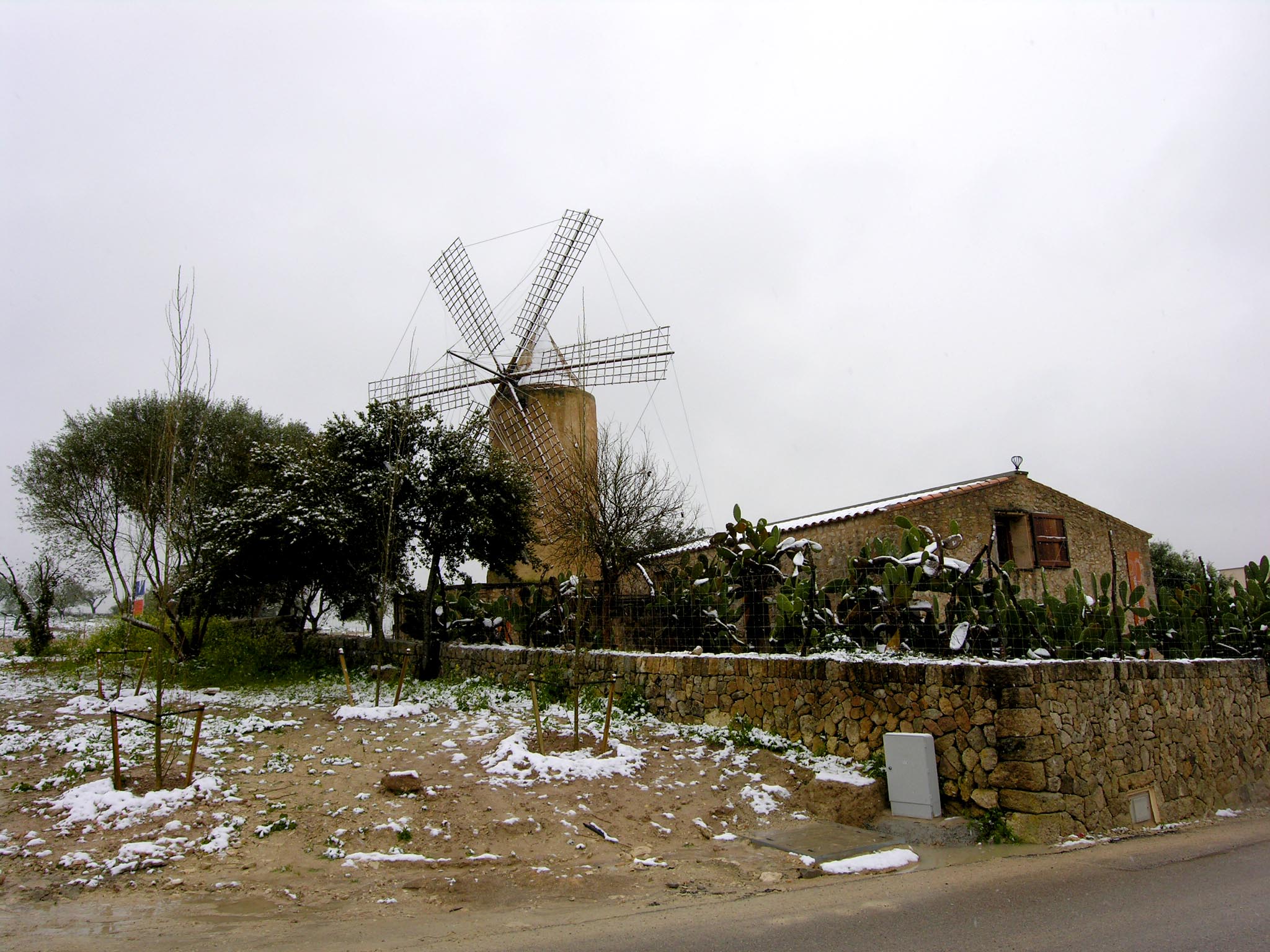 Molí d'en Fraret (Montuïri). Seu del Museu Arqueològic de Son Fornés