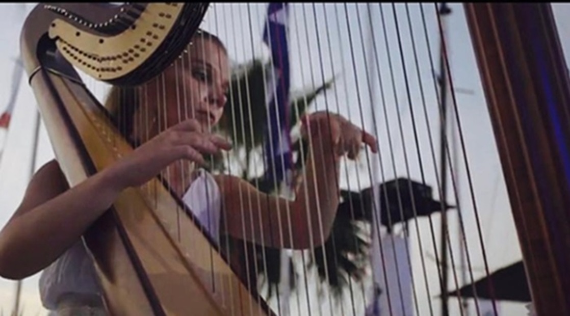 Arpa - Assumpció Janer